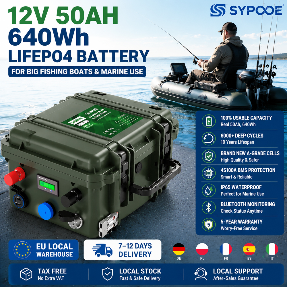 Fishing Boat Trolling Motor - EU 12V 50AH LiFePO4 Battery 640Wh