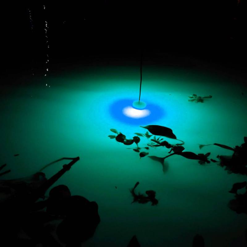 Mini Fishing Attraction Lamp G - Fishing Boat Navigation Light review and price