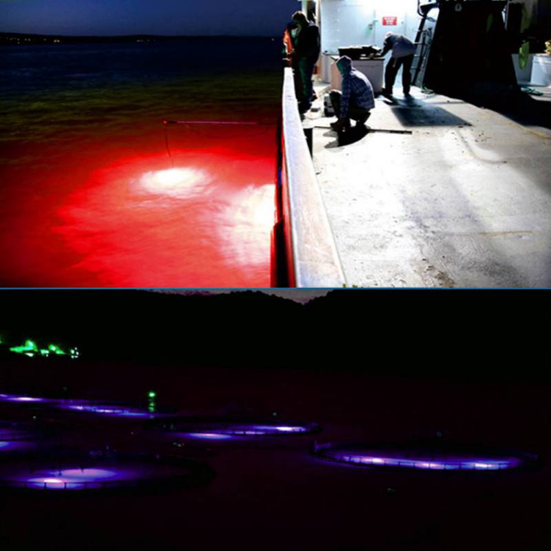 Mini Fishing Attraction Lamp G - Fishing Boat Navigation Light review and price